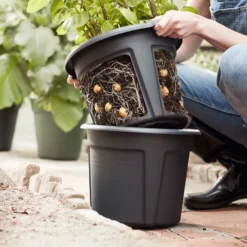 Elho Green Basics Aardappelpot 33cm -Goedkope Tuin Groei Winkel elho green basics aardappelpot 33cm 1313x875 6427fcac93e19 l