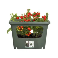 Elho Plantenbak Green Basics Stack & Grow Large Groen 6 Elho Plantenbak Green Basics Stack & Grow Large Groen -Goedkope Tuin Groei Winkel elho plantenbak green basics stack grow large groen 800x800 620e3d4de4622 l