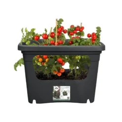 Elho Plantenbak Green Basics Stack & Grow Large Zwart -Goedkope Tuin Groei Winkel elho plantenbak green basics stack grow large zwart 800x800 620e3d4eed857 l