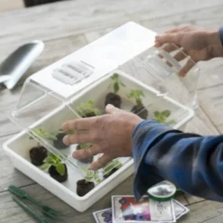 Nature Deksel Voor Kweekbak 55x31cm -Goedkope Tuin Groei Winkel nature deksel voor kweekbak 55x31cm 595x800 6214a0230c942 l