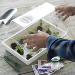 Nature Deksel Voor Kweekbak 55x31cm -Goedkope Tuin Groei Winkel nature deksel voor kweekbak 55x31cm 800x587 6214a0233f631 l