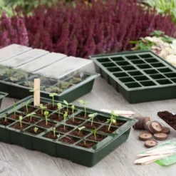 Nature Kweekbakset 35x23,5cm 4 St 5 Nature Kweekbakset 35x23,5cm 4 St -Goedkope Tuin Groei Winkel nature kweekbakset 35x23 5cm 4 st 800x532 6214a027c962f l