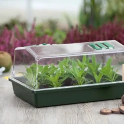 Nature Kweekkas Groen 55x31cm 5 Nature Kweekkas Groen 55x31cm -Goedkope Tuin Groei Winkel nature kweekkas groen 55x31cm 800x532 6214a0257444b l