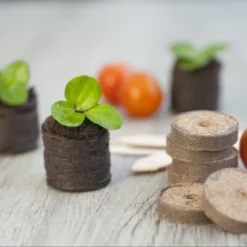 Nature Turftabletten 48st -Goedkope Tuin Groei Winkel nature turftabletten 48st 800x532 6214a01453d91 l