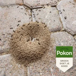Pokon Tegen Mieren Korrels 400gr -Goedkope Tuin Groei Winkel pokon tegen mieren korrels 400gr 1000x1000 6221fb52c5ede l
