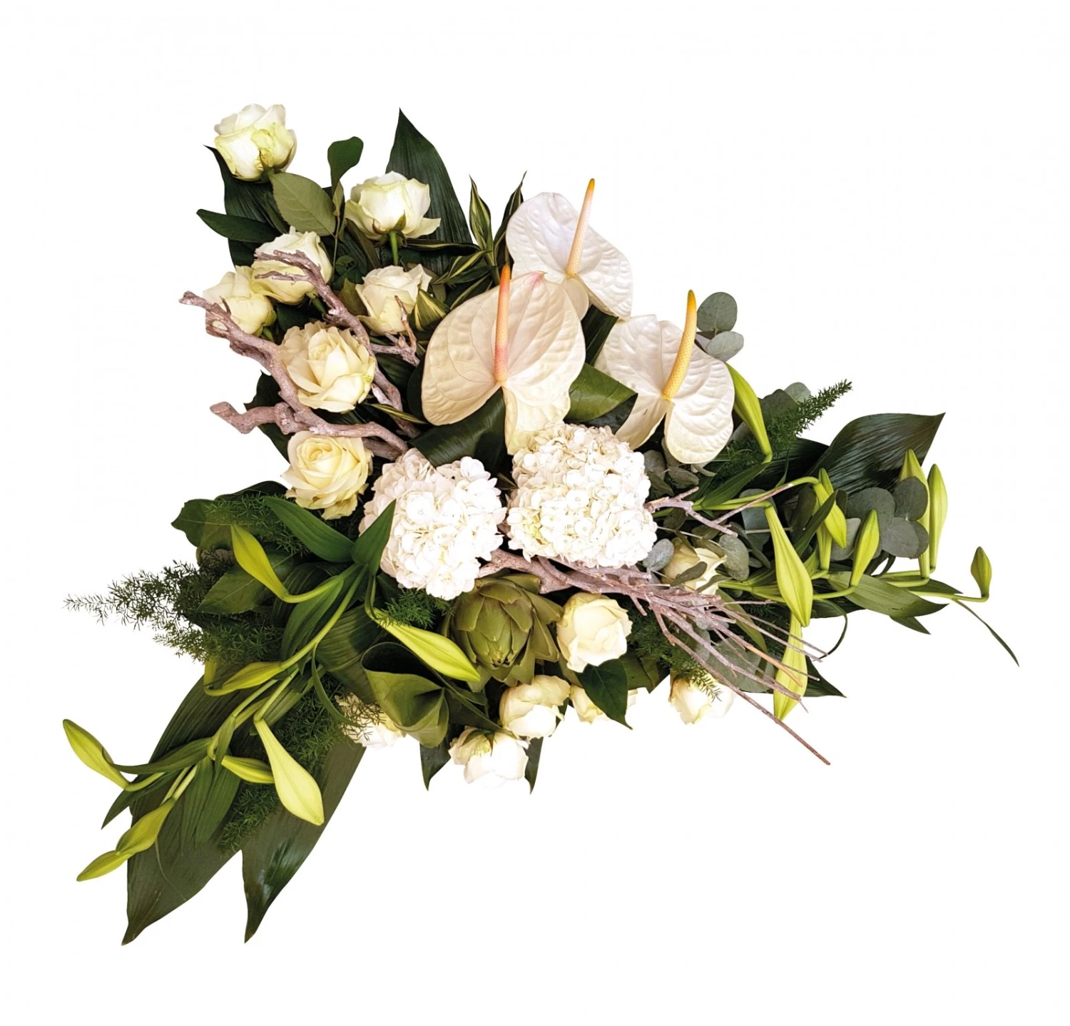 Vrede, 100cm 1 Vrede, 100cm